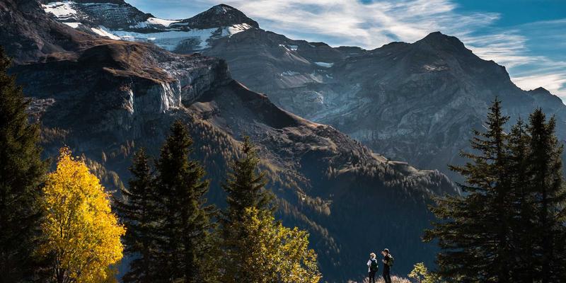 人工智能如何重塑手工饼干产业：从智能质检到口味预测的电商新机遇