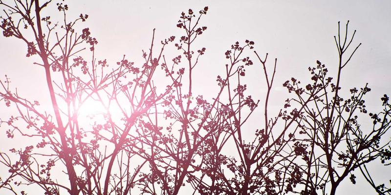 复古烘焙风潮：小熊饼干如何成为怀旧零食复兴中的文化符号与电商糕点新宠