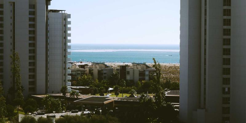 小熊饼干10：从经典糕点到创意曲奇的文化符号