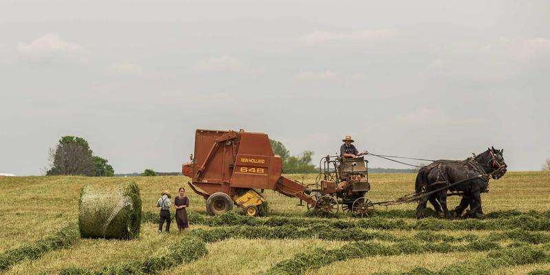 小熊饼干15:从童年记忆到电商爆款,曲奇饼干的零食购买新革命