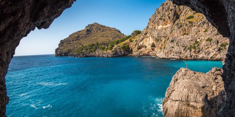 小熊饼干17:电商时代曲奇饼干的新传奇