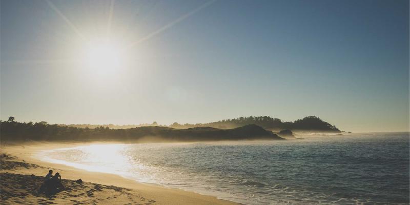小熊饼干21：当手工饼干的温度遇见经典曲奇的艺术