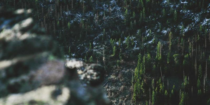 小熊饼干23：电商时代如何聪明选购童年味道？