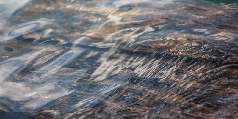 小熊饼干24：烘焙王国里的经典传奇，如何俘获三代人的味蕾？