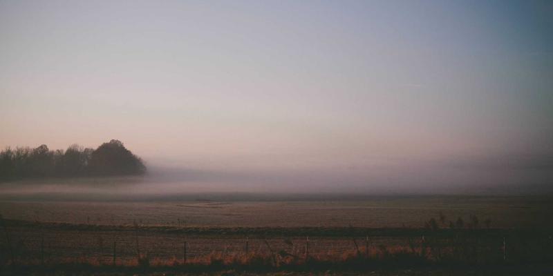 小熊饼干32：烘焙食品中的经典传奇，曲奇饼干爱好者的必选零食