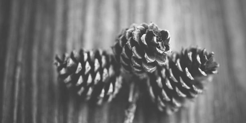 小熊饼干33：电商浪潮中，手工烘焙食品如何打造独特竞争力？