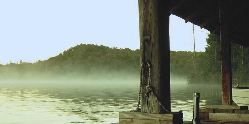 小熊饼干40年：从童年记忆到电商爆款的烘焙传奇