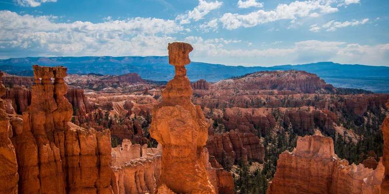 小熊饼干48：不止是童年回忆，更是匠心手作的休闲零食新选择