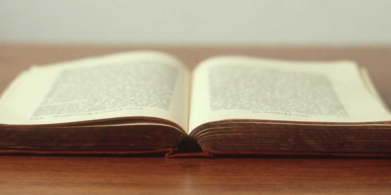 小熊饼干53：当手工烘焙遇见童心与匠心的甜蜜邂逅