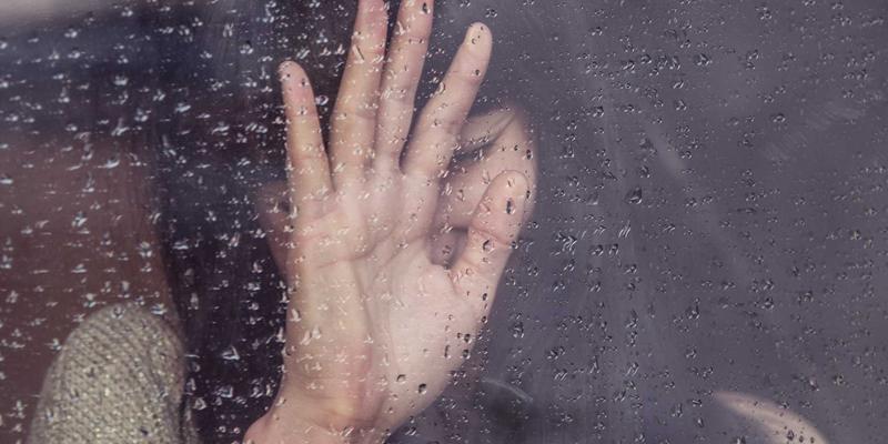 小熊饼干93:从烘焙食品到电商爆款的甜蜜传奇