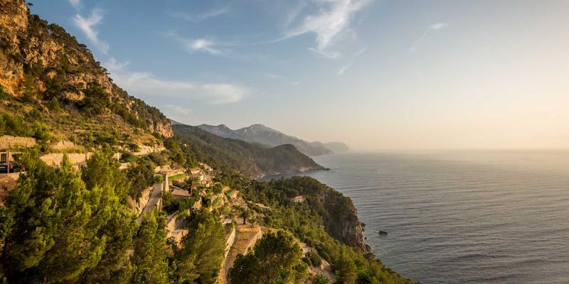 小熊饼干DIY创意装饰教程：糖霜、巧克力笔与食用色素应用指南