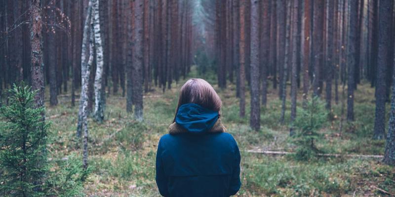 小熊饼干创意吃法大揭秘：从休闲零食到烘焙甜品的华丽变身