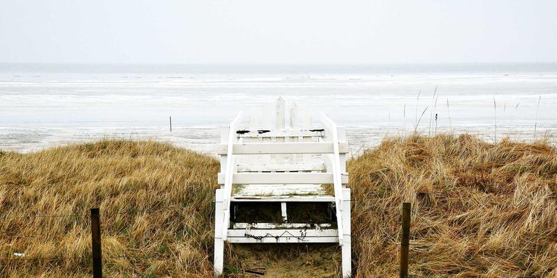 小熊饼干包装设计心理学：色彩与造型如何激发儿童对休闲零食的购买欲望