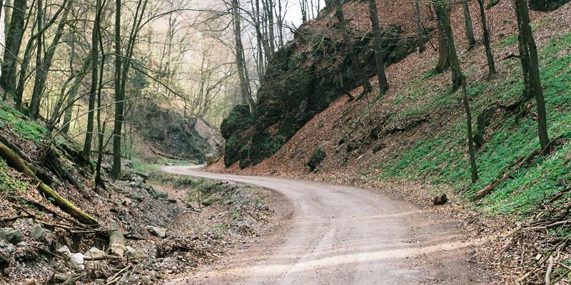 小熊饼干包装设计演变史：从铁盒到环保材料的视觉叙事