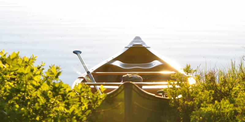 小熊饼干如何借力影视IP：从《帕丁顿熊》到动漫联动的场景营销策略