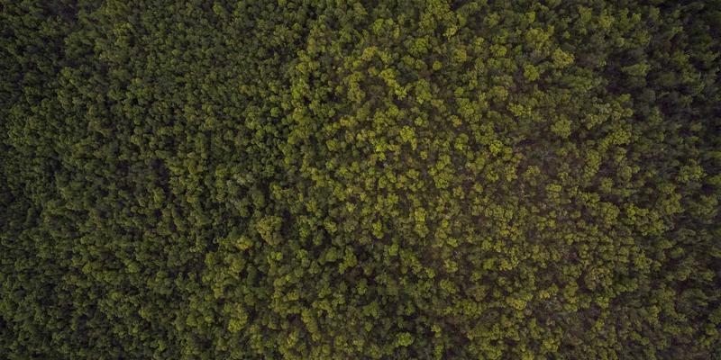 小熊饼干对比指南：手工曲奇与市售零食的终极选择