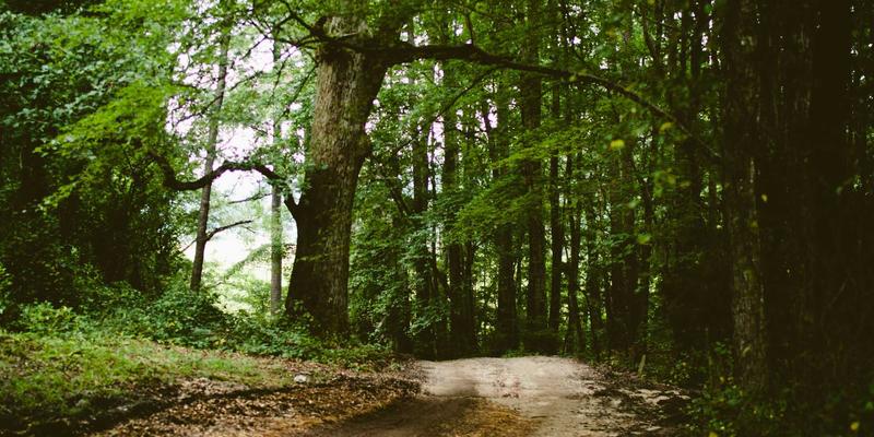 小熊饼干生产线自动化升级：食品工业4.0如何巧妙保留手工质感与电商竞争力