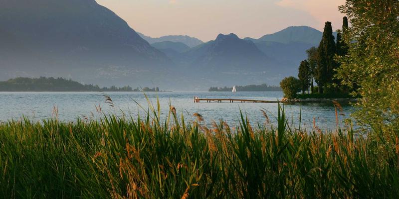 小熊饼干终极指南：从手工曲奇到完美成型的秘诀与最佳实践