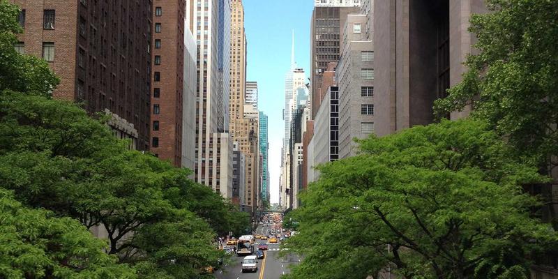 小熊饼干终极指南：从零开始掌握曲奇烘焙的艺术