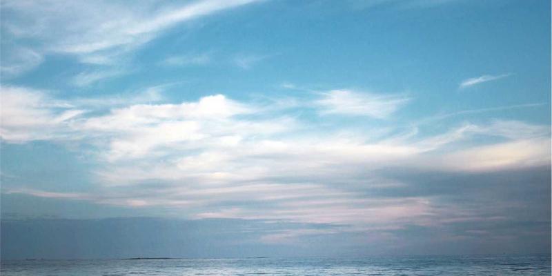 小熊饼干选购全攻略：电商时代如何挑选健康又美味的童年零食