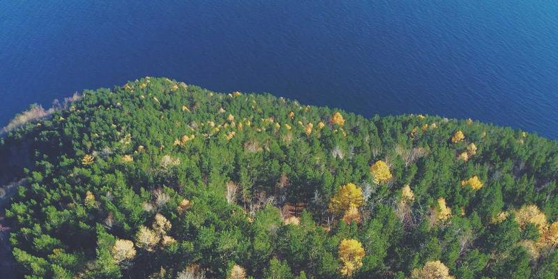 手工饼干的情感密码：为何小熊曲奇饼干成为全球电商的暖心符号