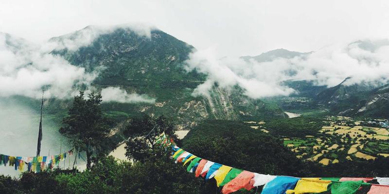 手工饼干营销新风向：解密樱花、南瓜等季节性限定小熊曲奇开发逻辑与购买策略