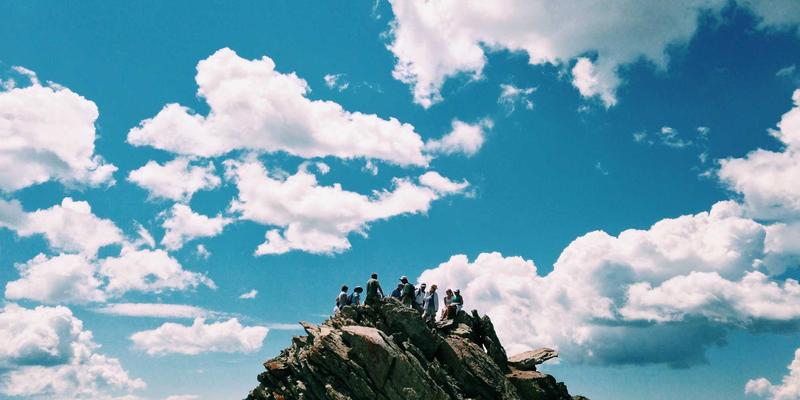 纯素烘焙新体验：手工制作无蛋奶小熊饼干的全攻略与秘诀