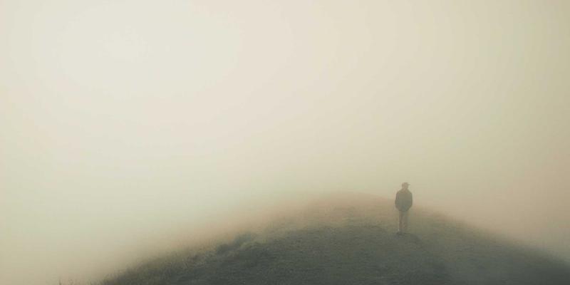 自动化生产线如何保持小熊饼干手工质感：食品工业中的技术平衡